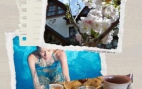 Ferienwohnungen Wellness Goldener Hahn